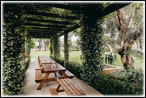 Bailey Brewing Co