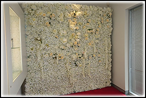 Flower Walls