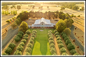 Harvey Springs Estate