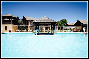 Vines Resort
