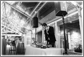 Majestic Wedding DJs