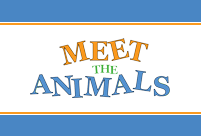 Meet the Animals