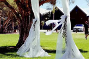 Elegant Chair Events