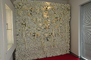 Flower Walls