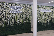 Flower Walls