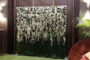 Flower Walls