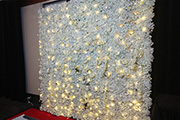 Flower Walls