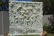 Flower Walls