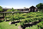 Vines Resort