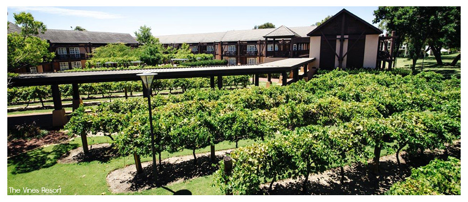 The Vines Accommodation