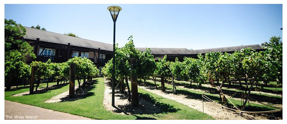 The Vines Accommodation